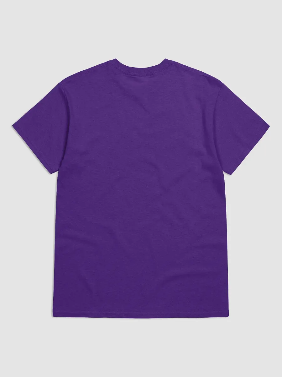 Neurospicy T Shirt product image (18)