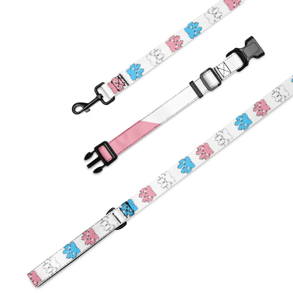Trans Pride Collar and Leash product image (4)