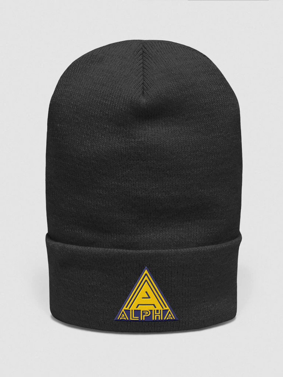Beanie product image (1)