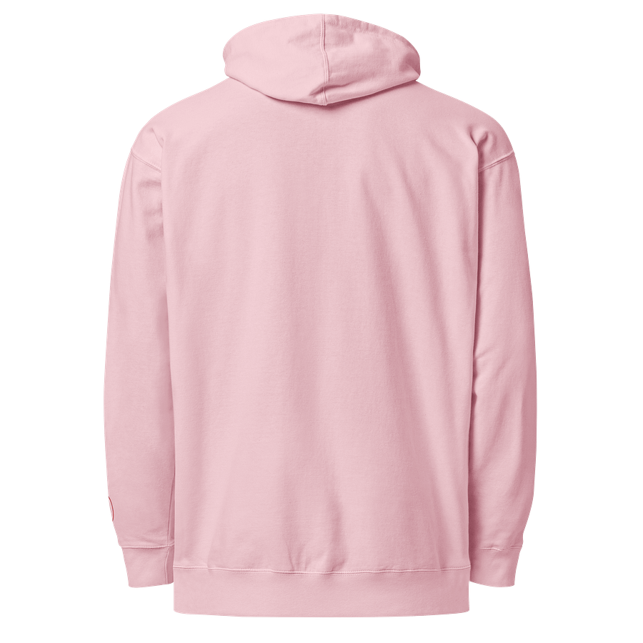 the reason hoodie product image (3)