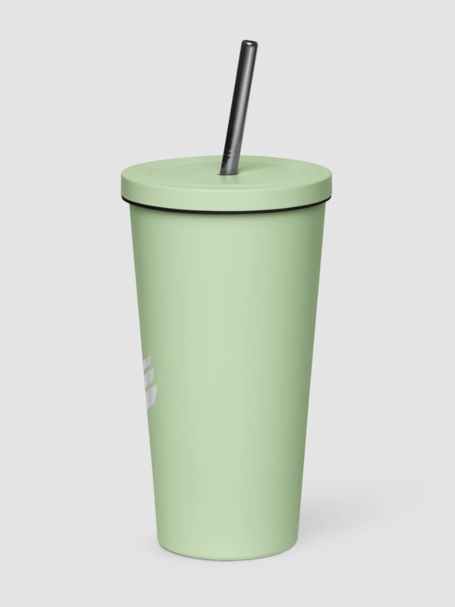 Insulated Tumbler with Straw - Mint product image (3)