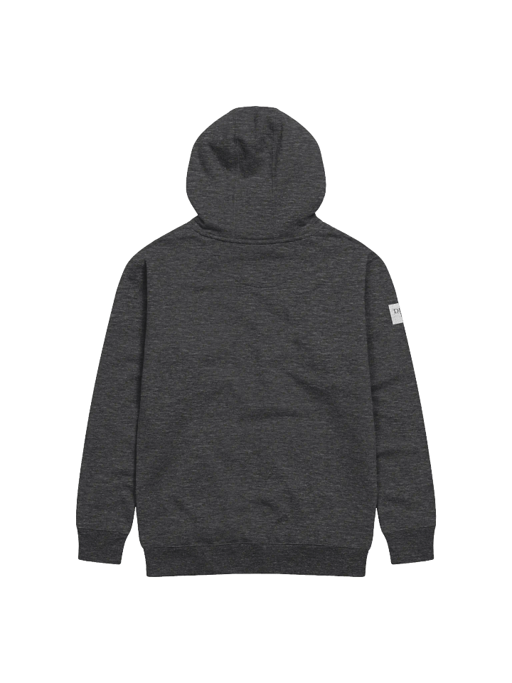 Minimalistic DPNS logo hoodie product image (2)