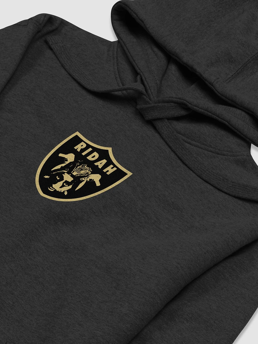 Ridah Hoodie [Gold Logo] product image (4)