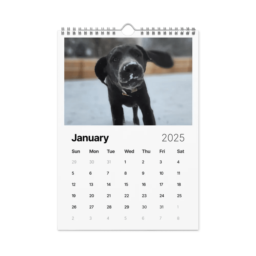 2025 Doggo Calendar product image (6)