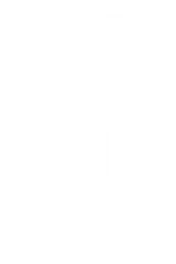 SEAASER