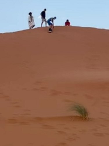 Milo Bass Rush is Sand boarding