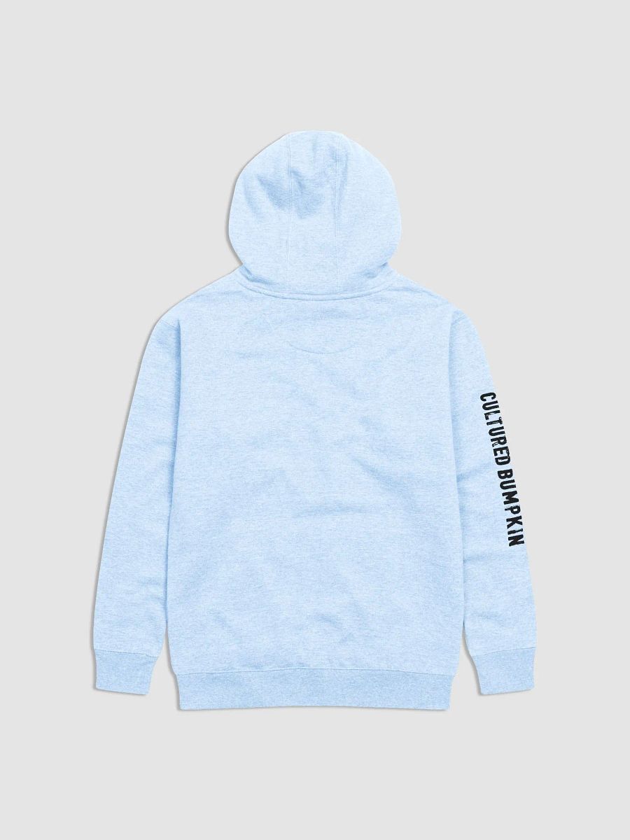 BILL SHAKESPEARE hoodie product image (2)