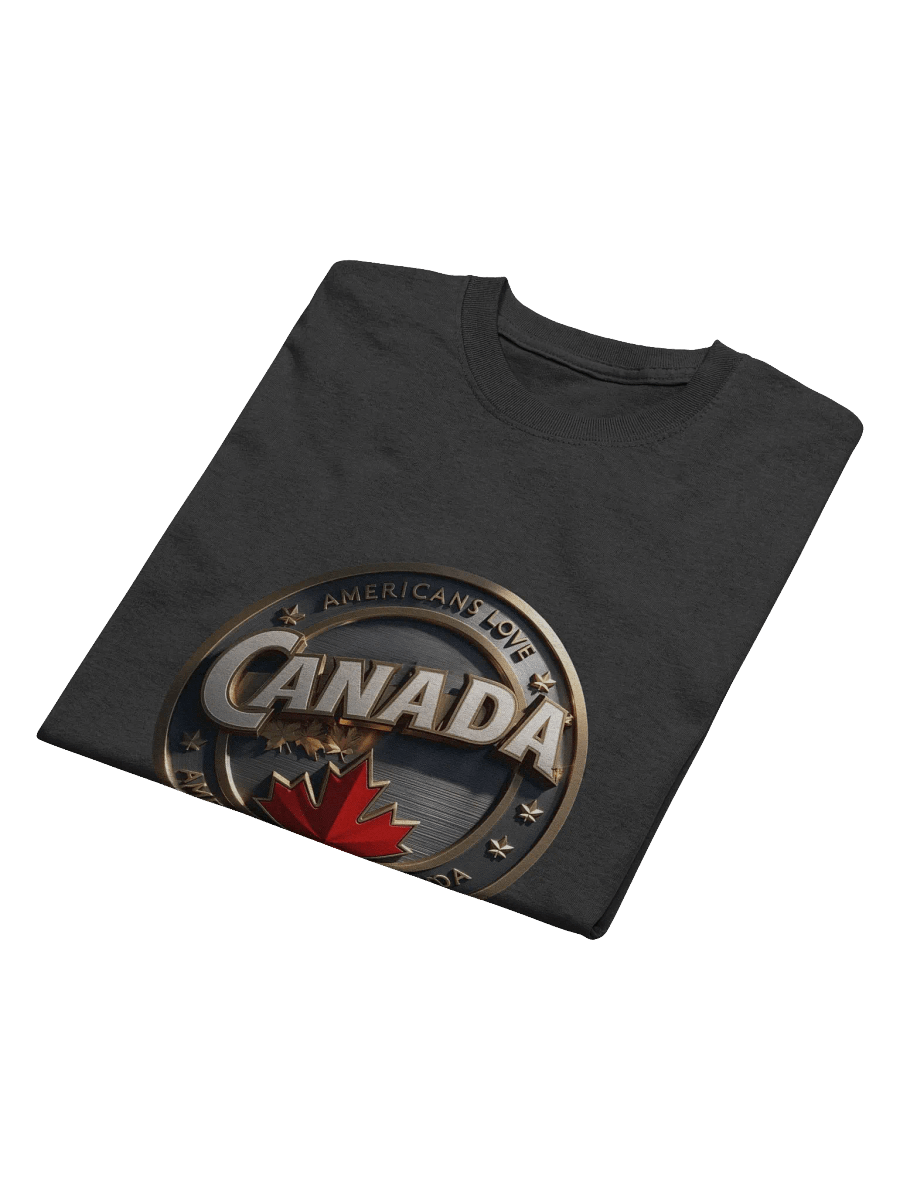 Heavyweight Streetwear Vibe T-Shirt product image (4)