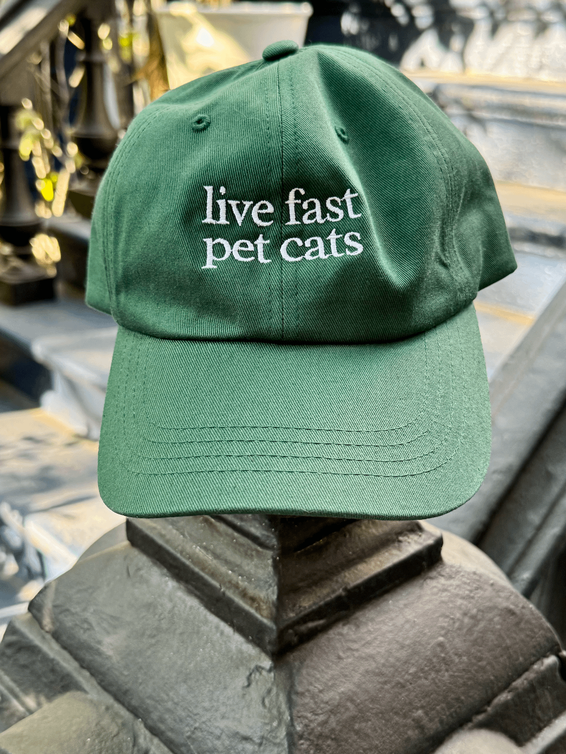 Live fast pet cats hat product image (1)