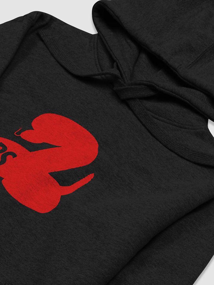 RS Logo Hoodie product image (2)