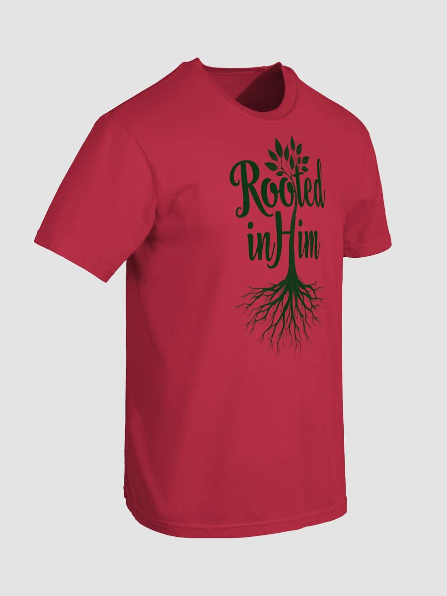 Rooted in Him Graphic T-Shirt product image (7)