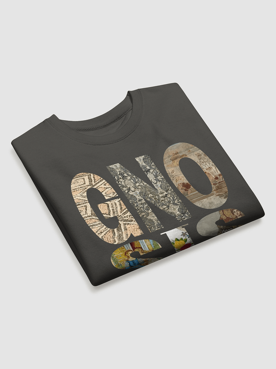 GNOSIS Project Limited Edition Sweatshirt 2025 product image (3)