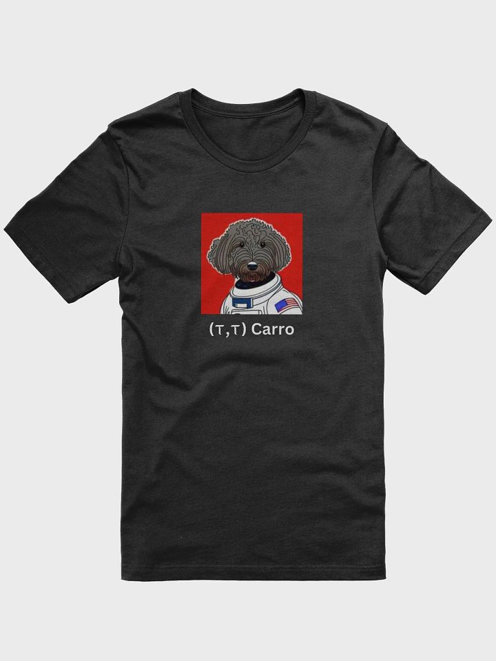 CARRO T-SHIRT product image (2)