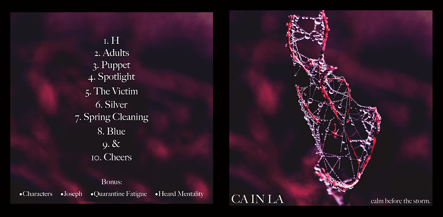 Calm Before The Storm product image (2)
