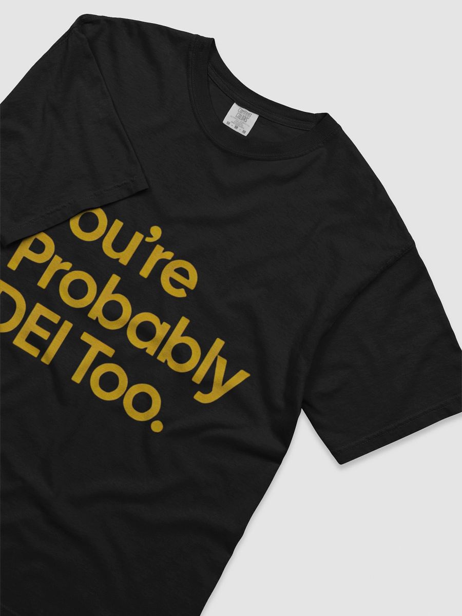you're probably DEI too T-Shirt product image (3)
