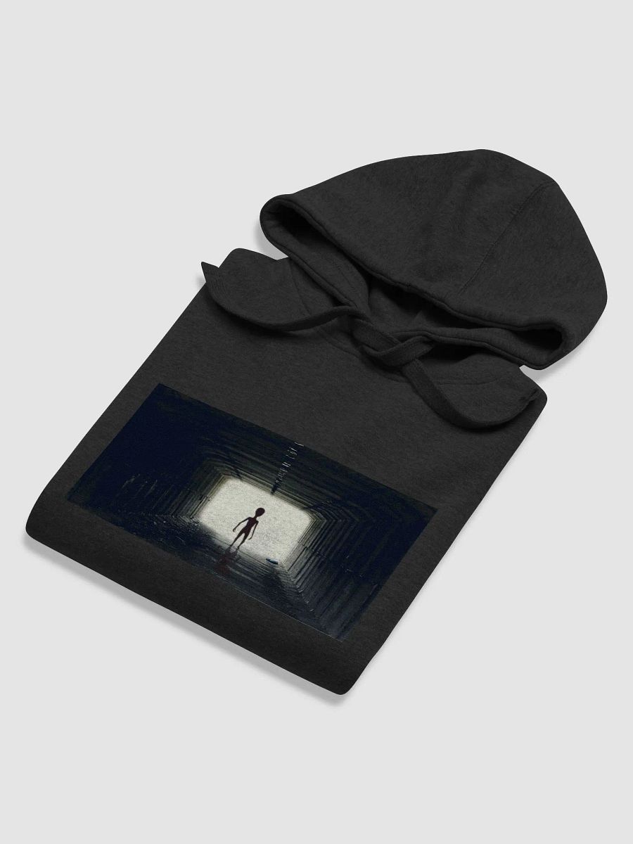 Seeing The Light product image (7)