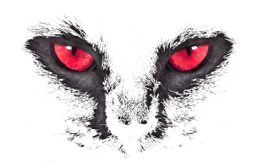 Cats Eye Digital Product product image (1)