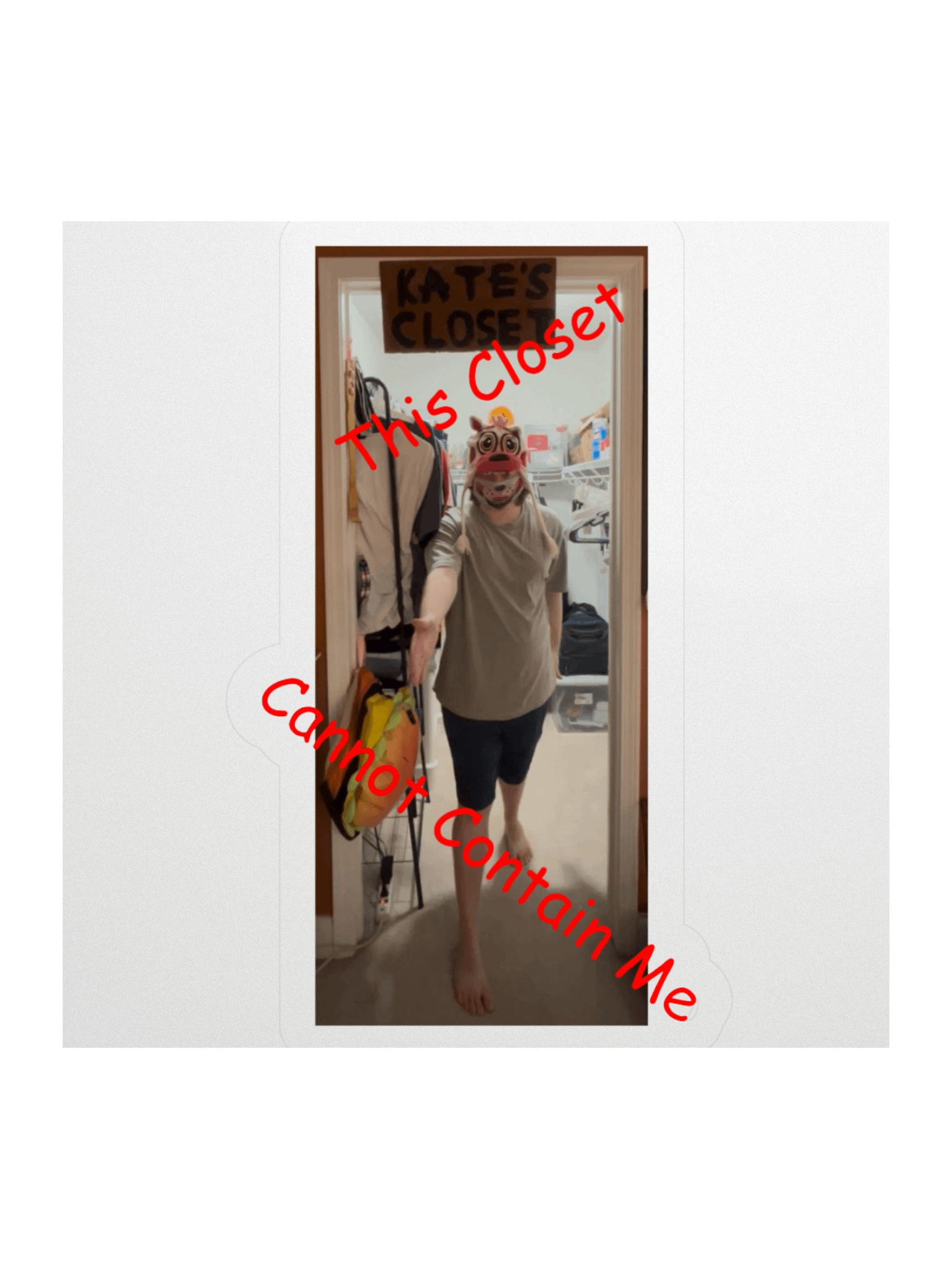 This Closet Cannot Contain Me product image (1)