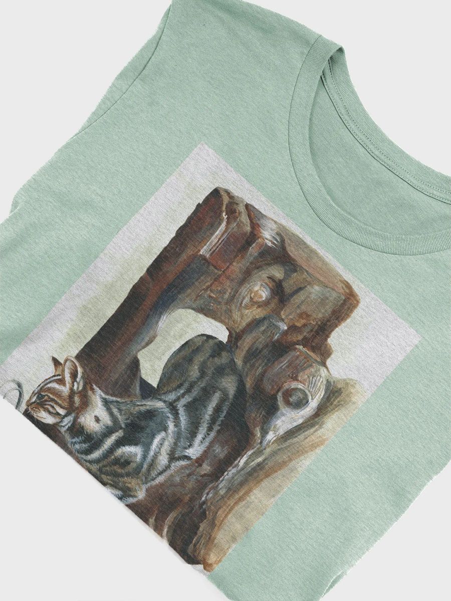 tabby cat T shirt product image (40)