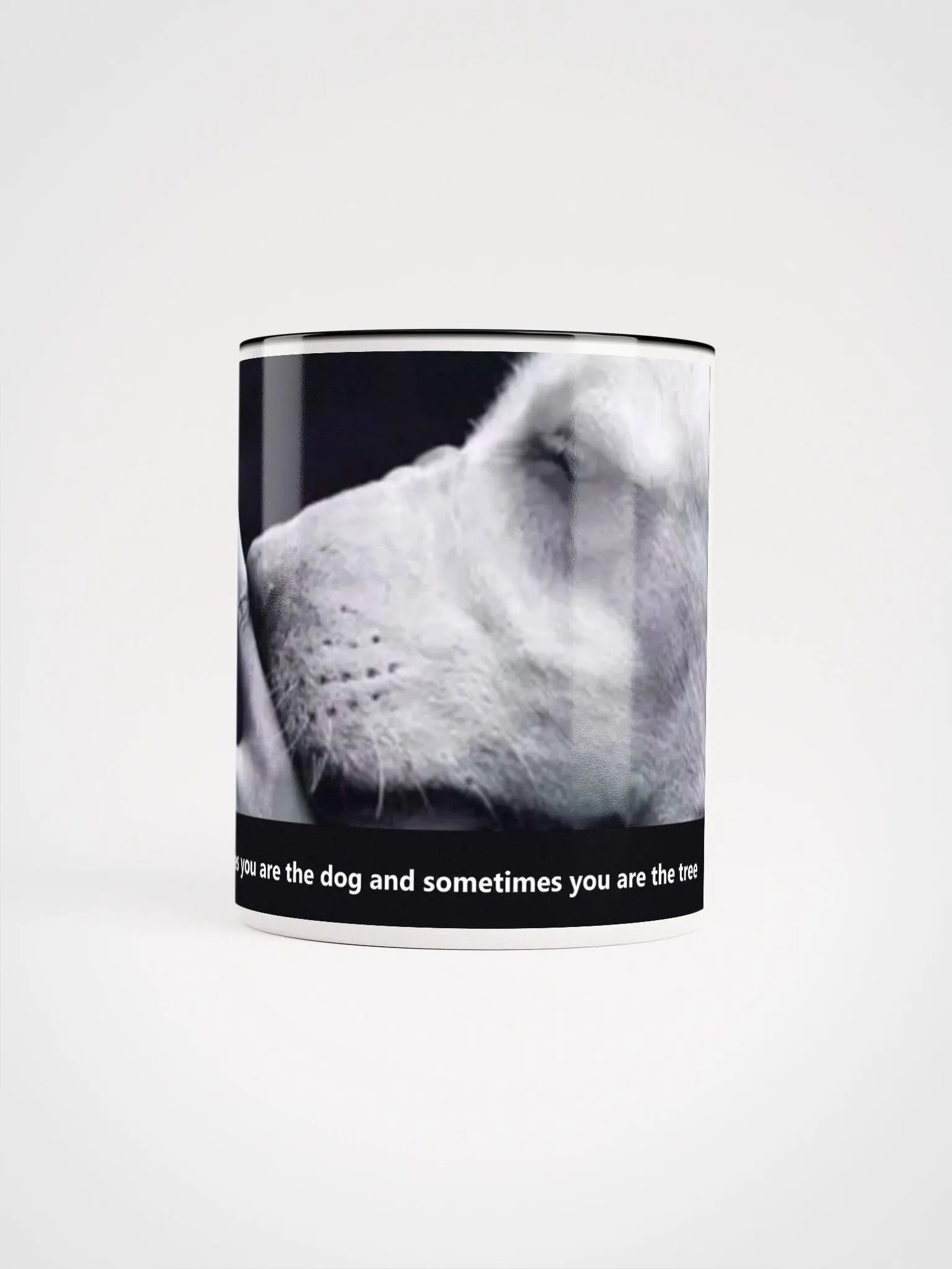 WISDOM CUP DELUXE EDITGION product image (9)