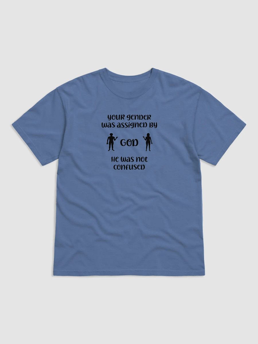 Your Gender Was Assigned by GOD. Midnight Comfort: Garment-Dyed T-Shirt product image (1)
