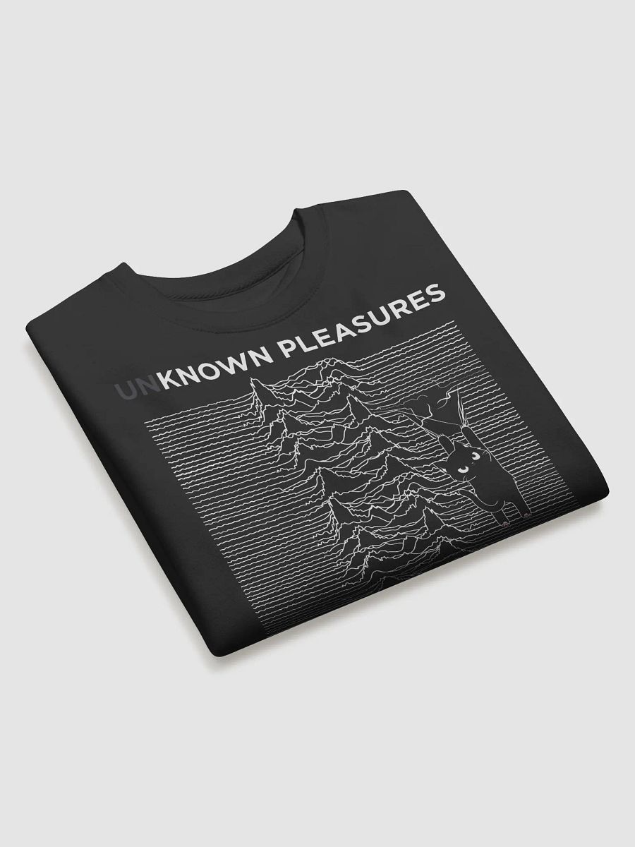 KITTEN'S UNKNOWN PLEASURES product image (3)