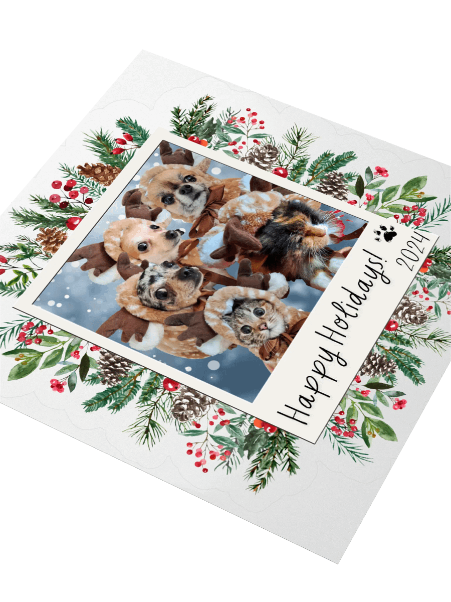 LIMITED EDITION Sticker - Paws [Holidays 2024] product image (3)