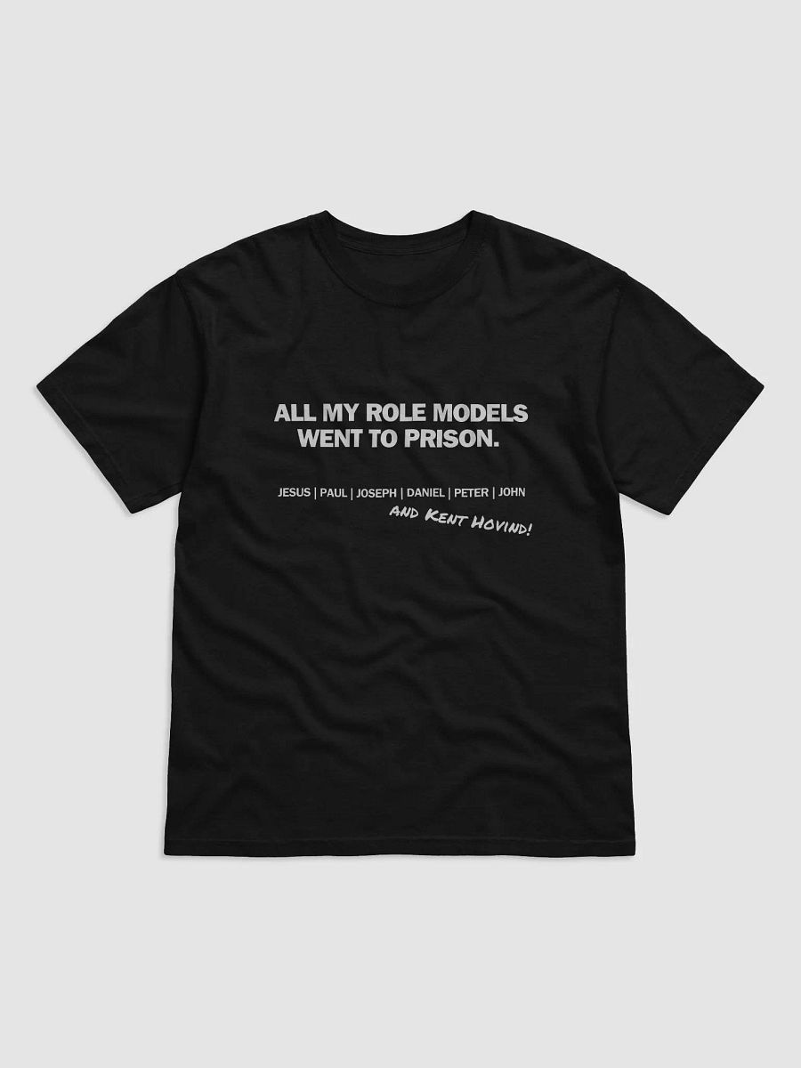 All My Role Models Went To Prison product image (1)