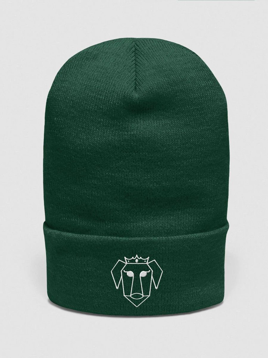 White Xena XP Embroidered Logo Beanie product image (22)