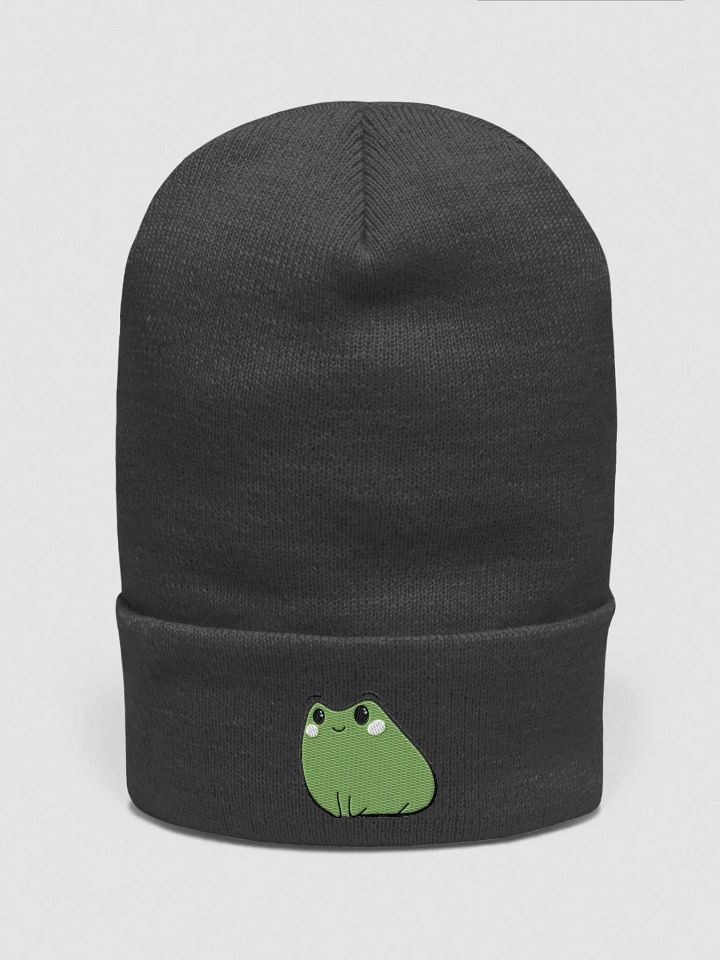 Happy Froge Beanie product image (1)