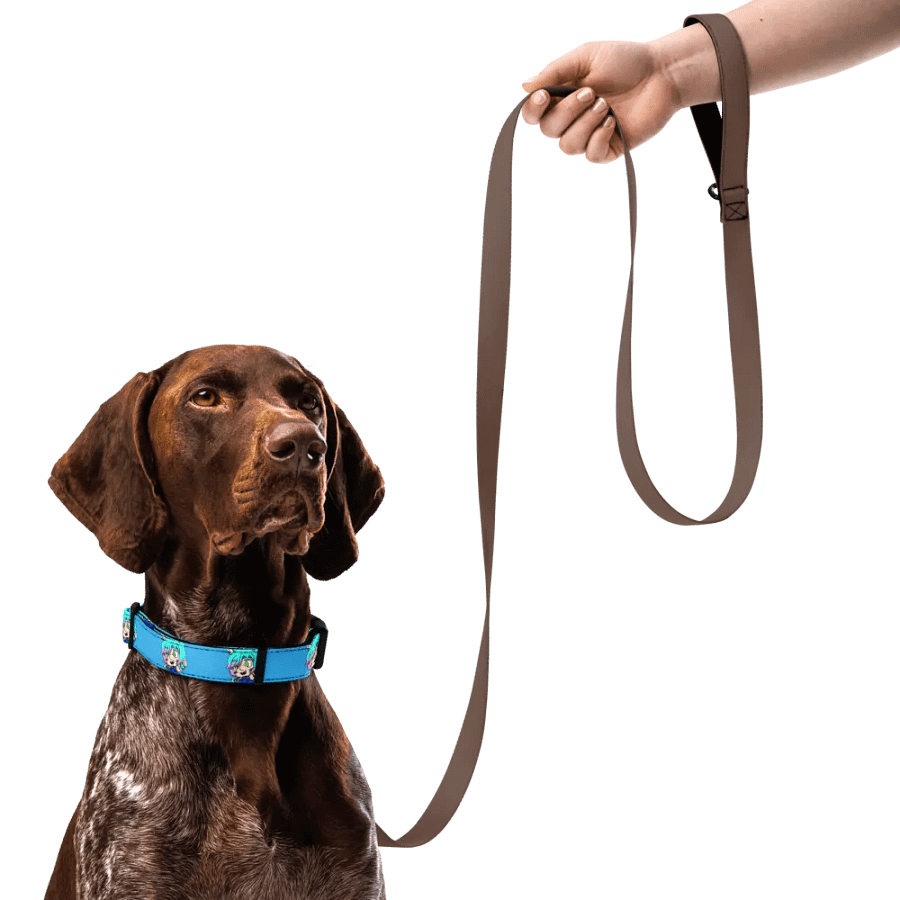 AMP-TWK Collar product image (11)