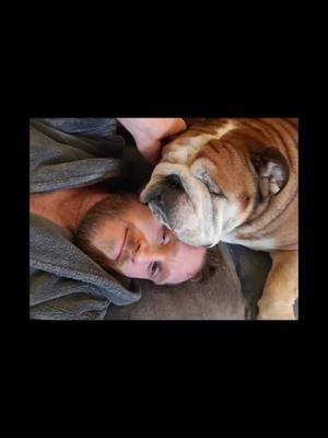 The announcement i never wanted to make. theo sadly passed away today and gained his wings  ill love you forever ❤️ thank you for your kind support this last week its been the hardest week. theo has been a huge part of the stream and will be missed so much  please bare with me   #golf #dog #pets #tiktoklive #community 