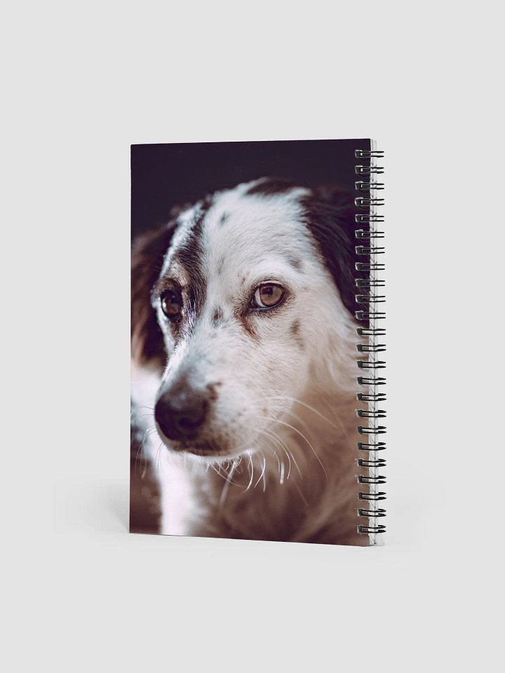 Lucky Notebook product image (2)