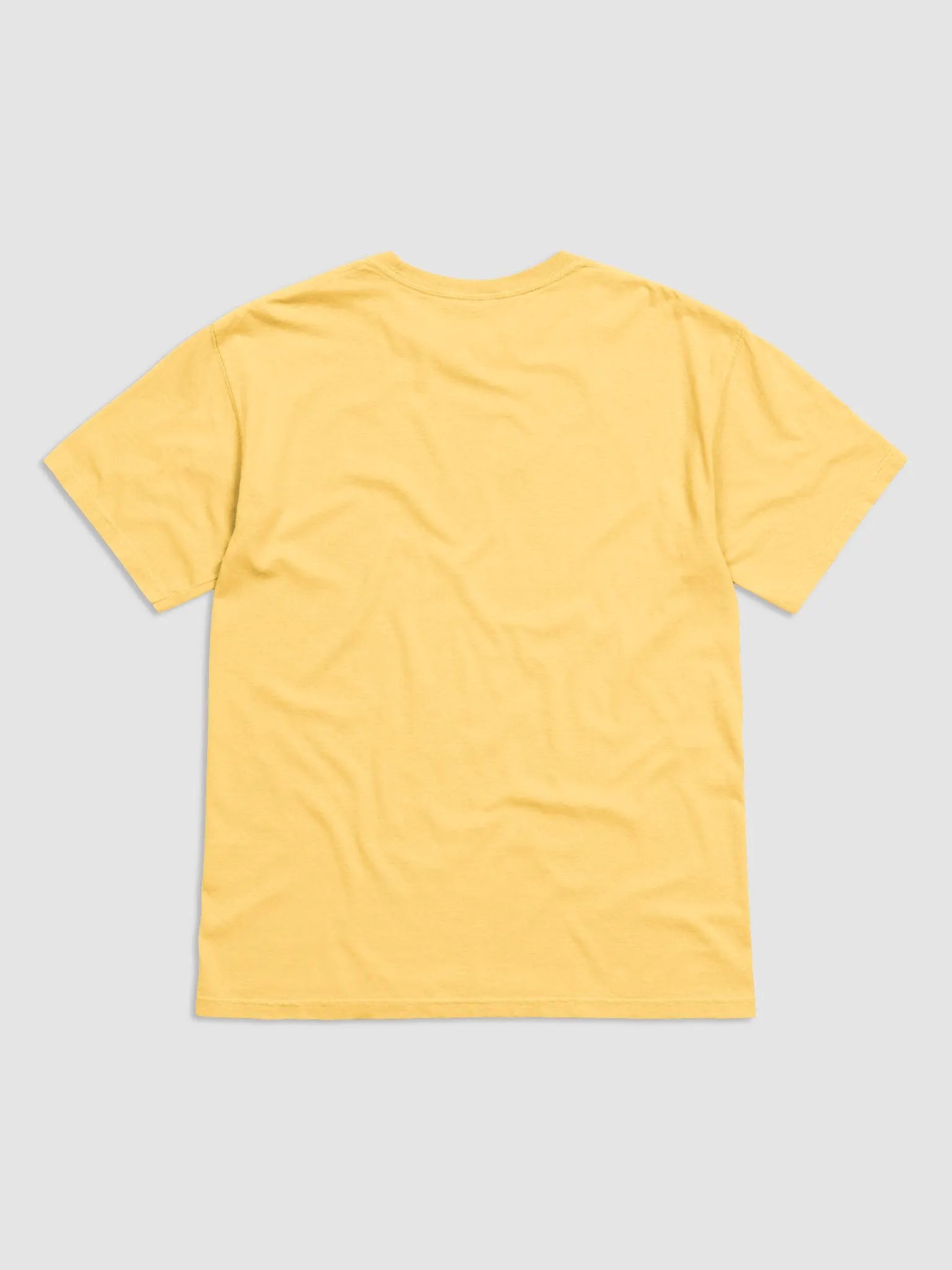 Basket Ace (Circle) T-shirt product image (2)
