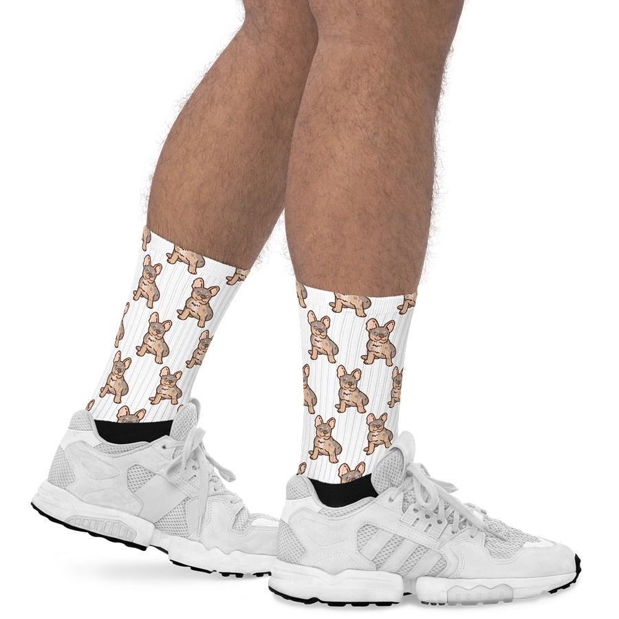 Albsterz Kiwi Socks product image (19)