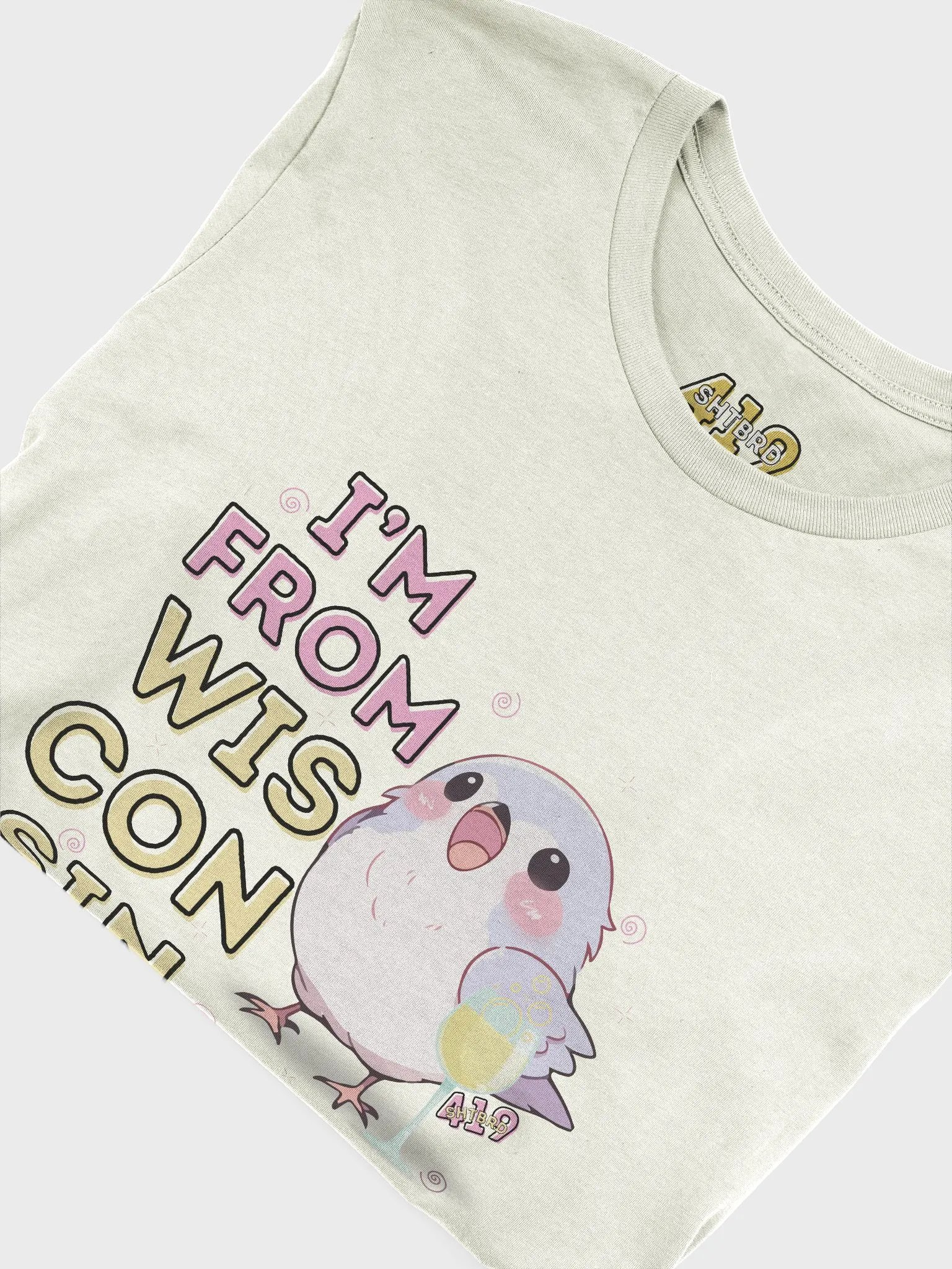 I'm From Wisconsin Bright-Colored T-Shirt product image (5)
