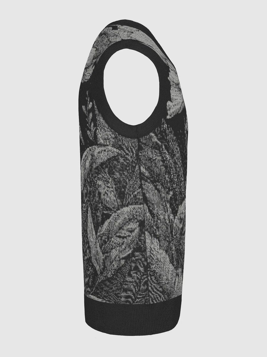 Noir Jungle Knitted V-Neck Vest product image (23)