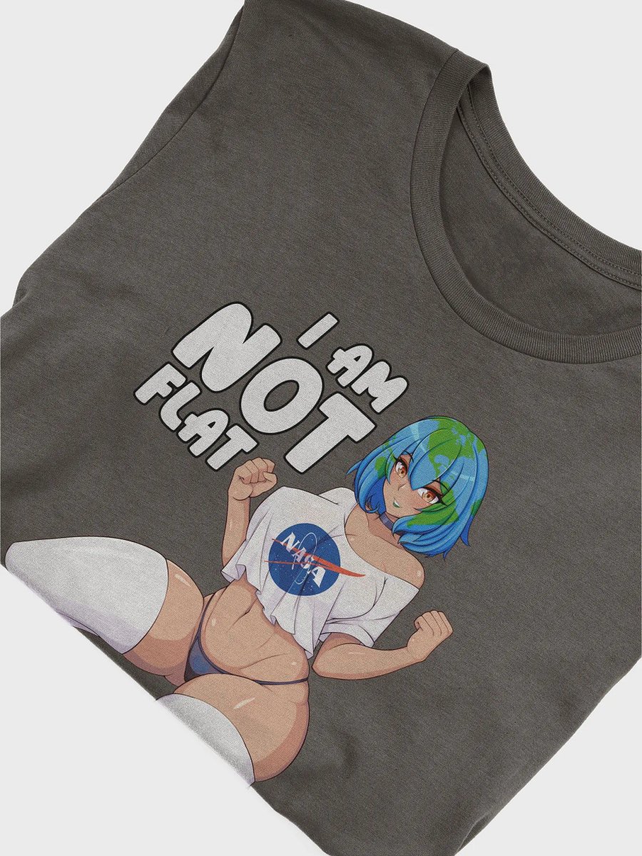 Earth is not flat product image (6)