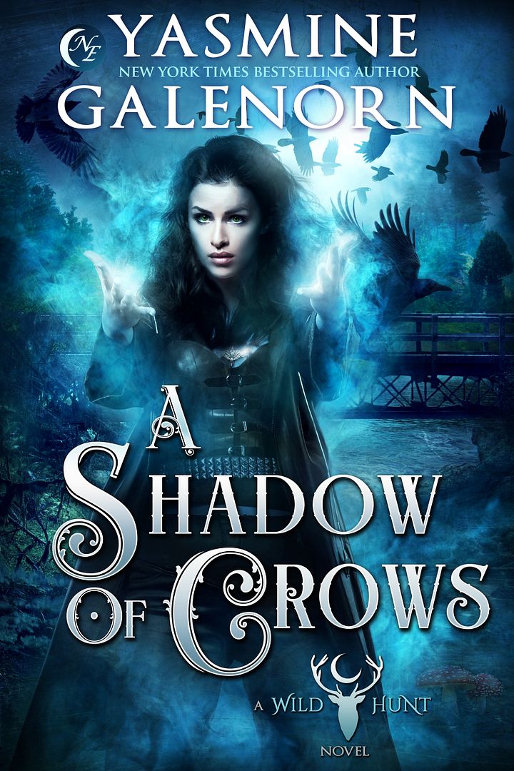 A Shadow of Crows product image (1)