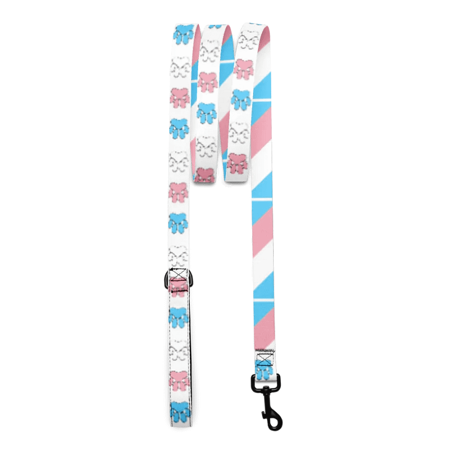 Trans Pride Leash product image (3)