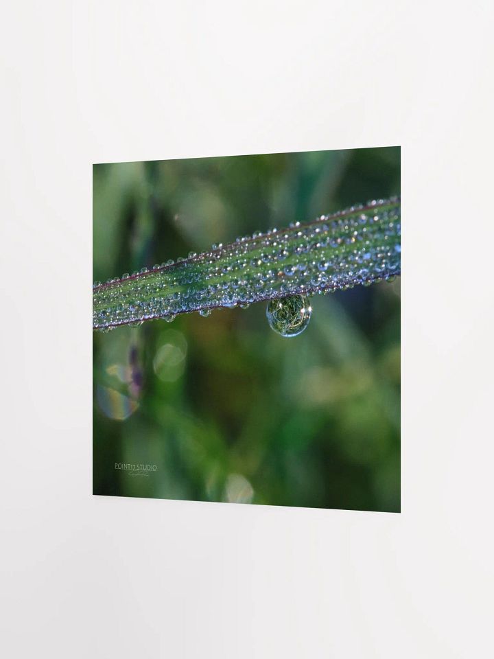 Dew Gems #3 - Print product image (4)