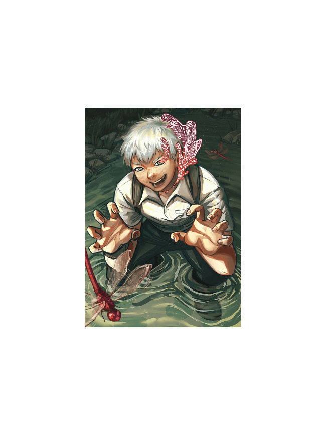 The Summer Hikaru Died