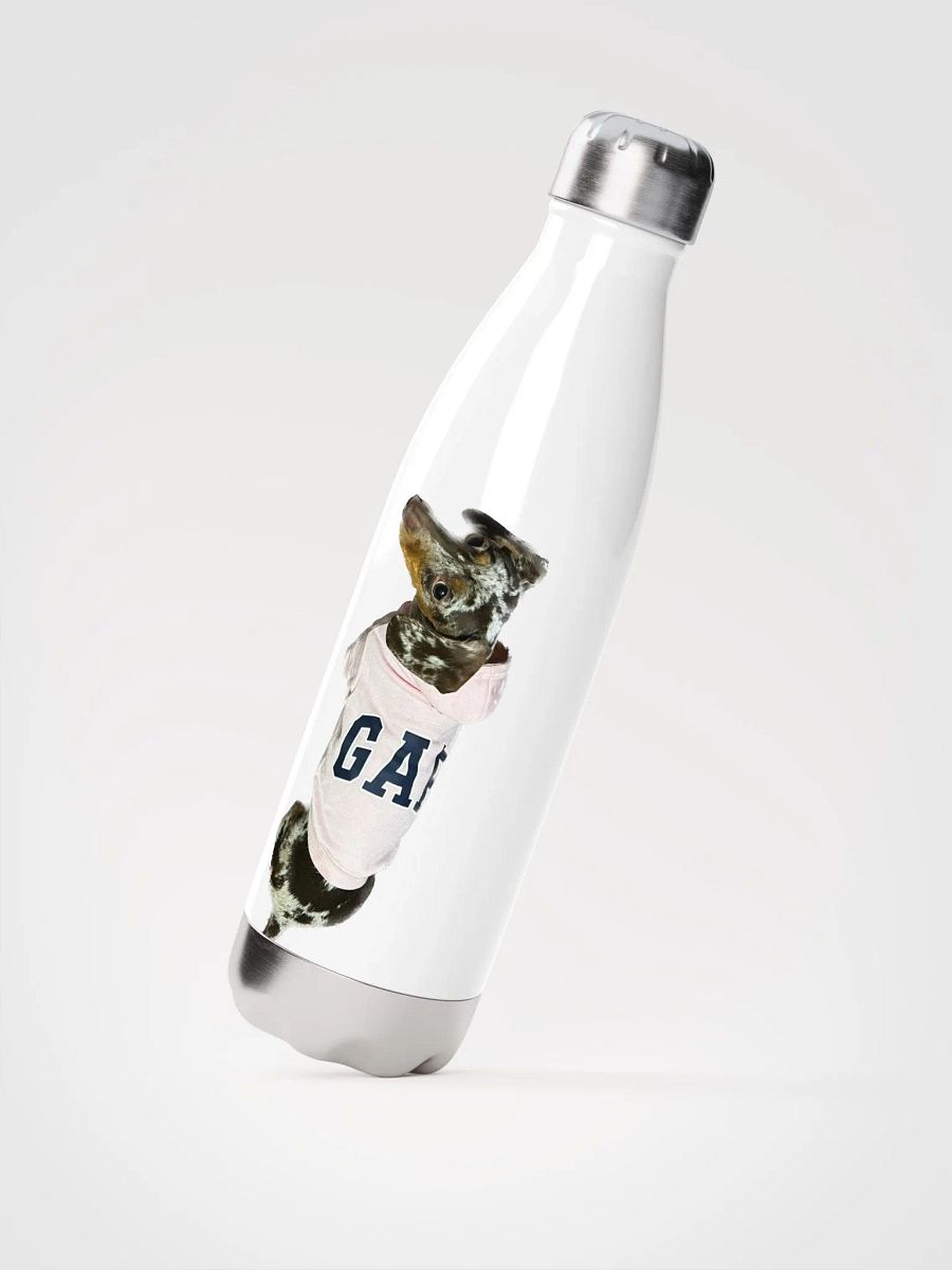 LuLu Sports bottle product image (2)