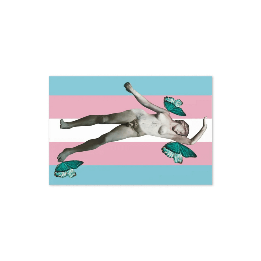 Trans Butterflies Card product image (10)