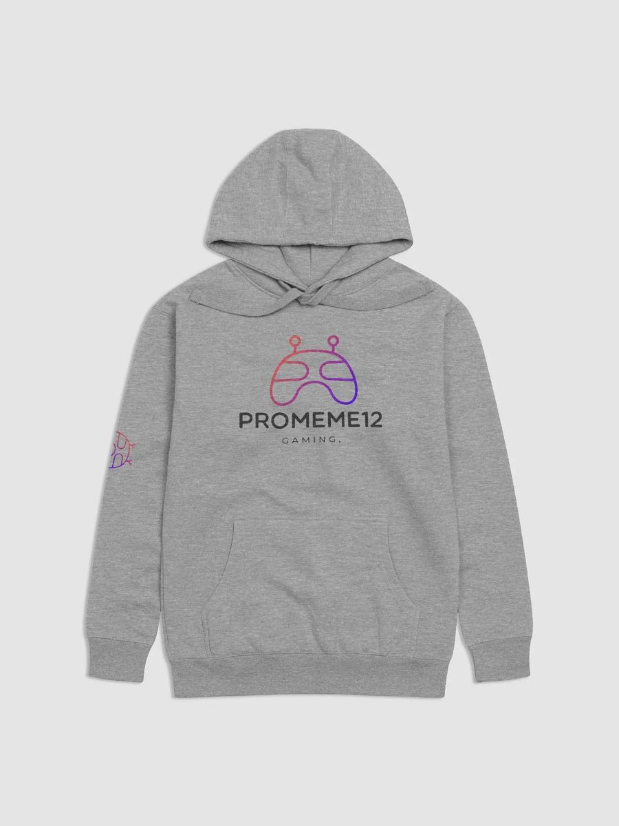 PROMEME hoodie product image (1)