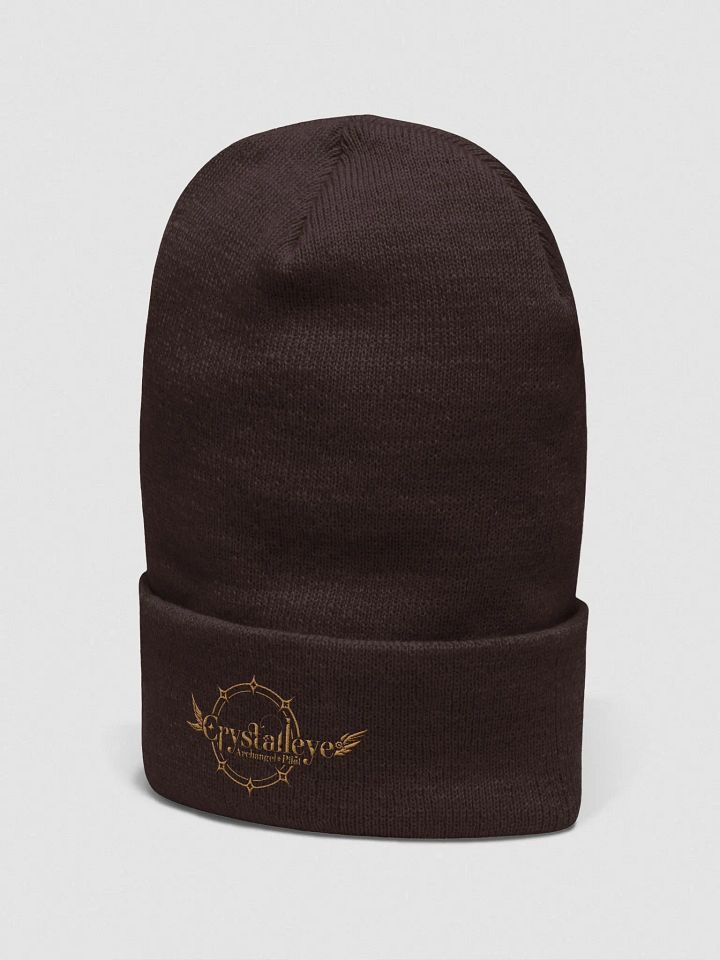Logo Beanie product image (2)