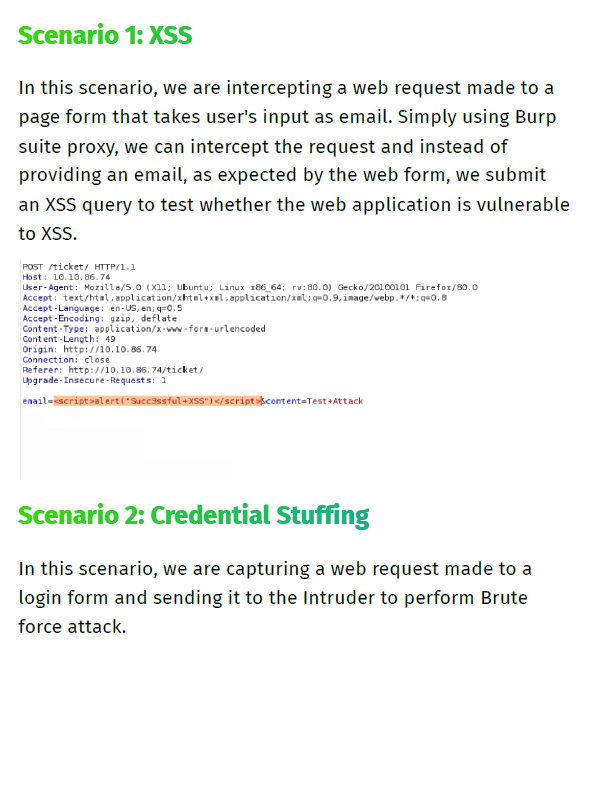 Burp Suite Practical Notes product image (4)