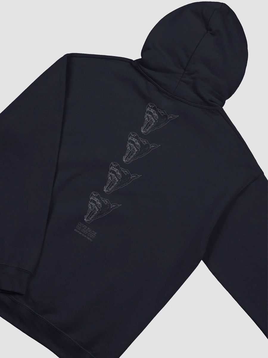 S.E.Y.T. hoodie product image (4)