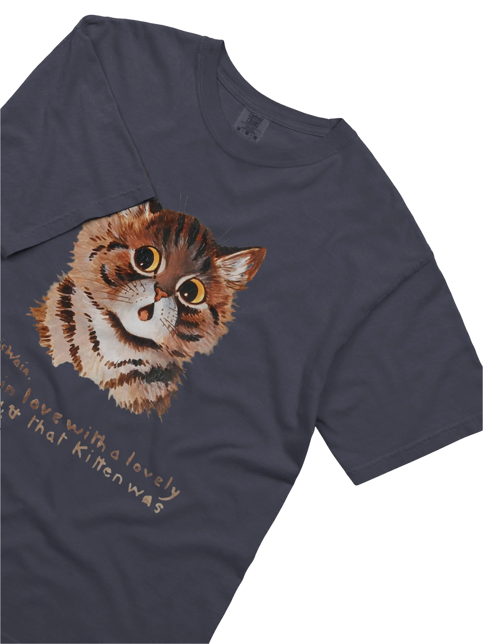 Louis Wain Cat Art T-Shirt - Relaxed Fit Heavyweight Unisex Cotton T-Shirt product image (9)