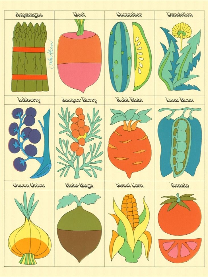The Grateful Veg Concoctionary Cookbook